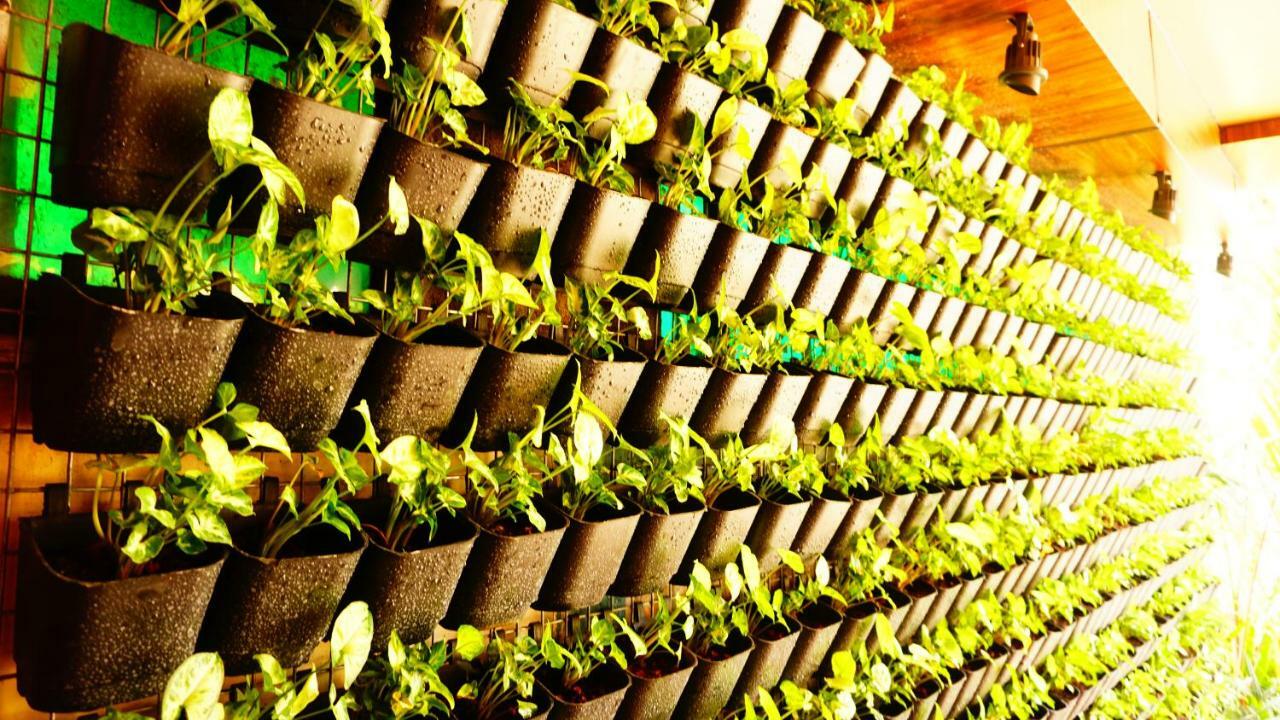 Thayamkery'S Royal Inn Kochi Kültér fotó